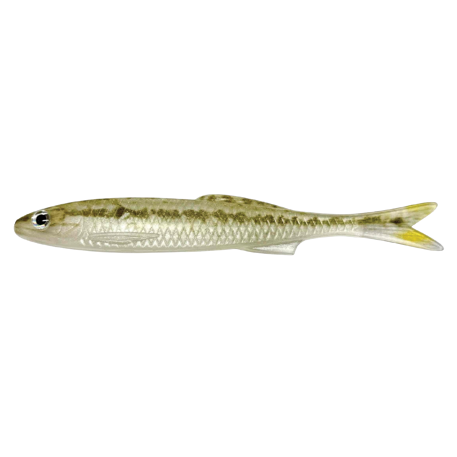 YG.Labo Witch Rizu soft fishing lure designed to imitate a small baitfish with a slender body, greenish-brown top, silver sides, and translucent fins for effective fishing tackle use.