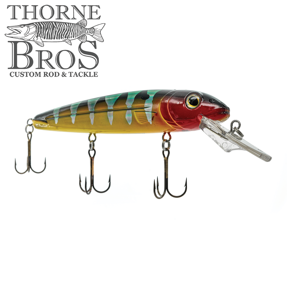 Livingston Lures Rachel 192