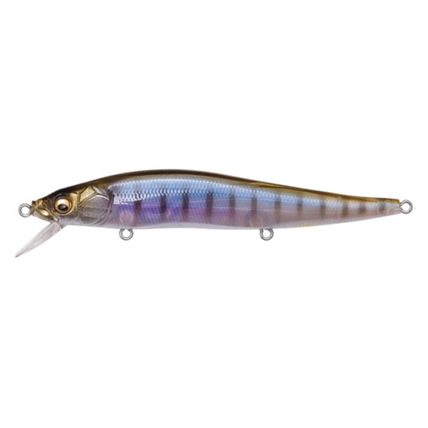 Megabass Vision 110 fishing lure in realistic blue and brown shades with detailed eyes, designed for effective water movement and attracting musky and other game fish.