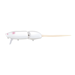 Evergreen Combat Rat