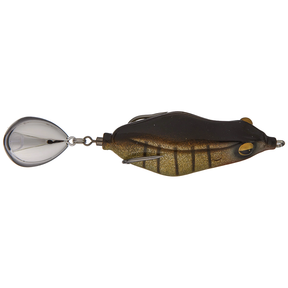 Teckel Maracker Frog