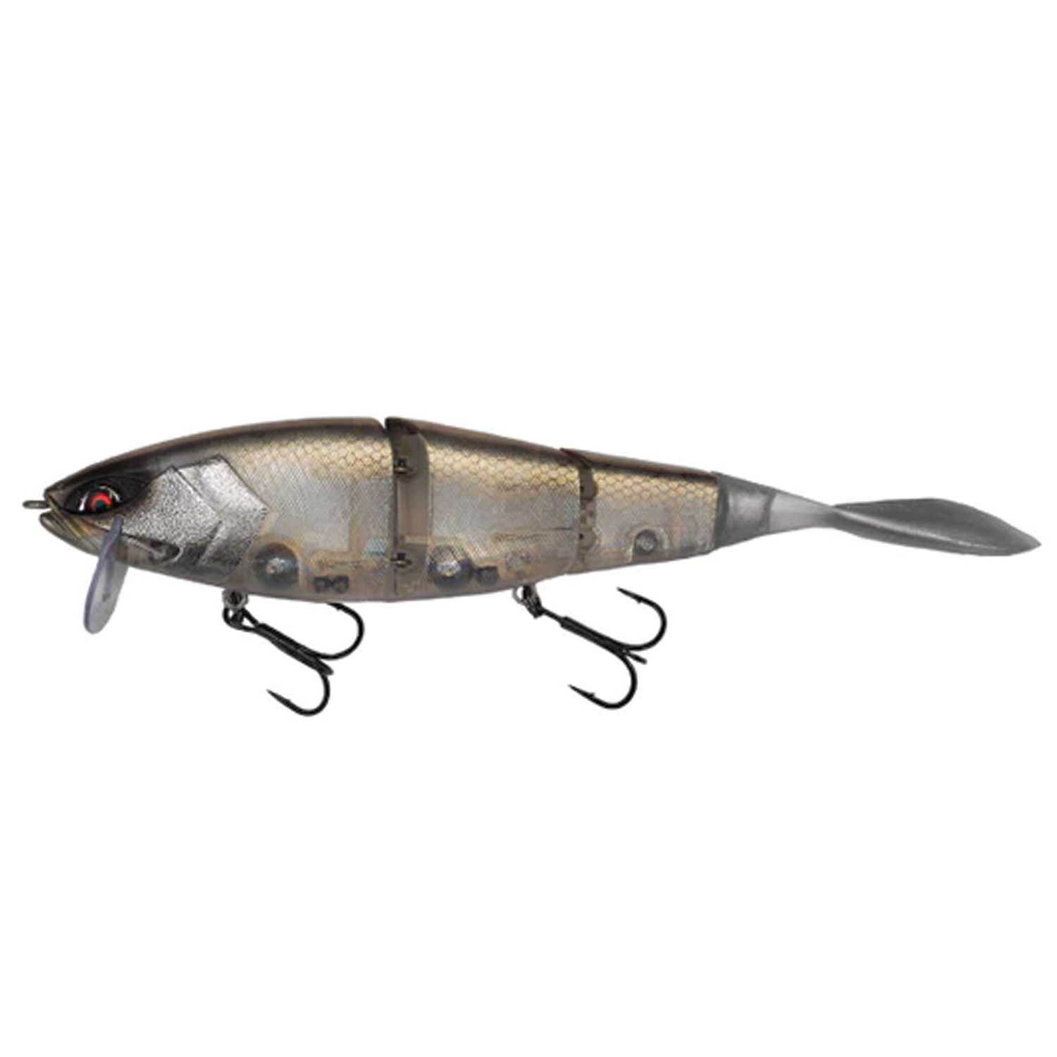 Galápagos Grace 210L