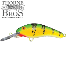 Blue Water Baits 5" K.O. Shad