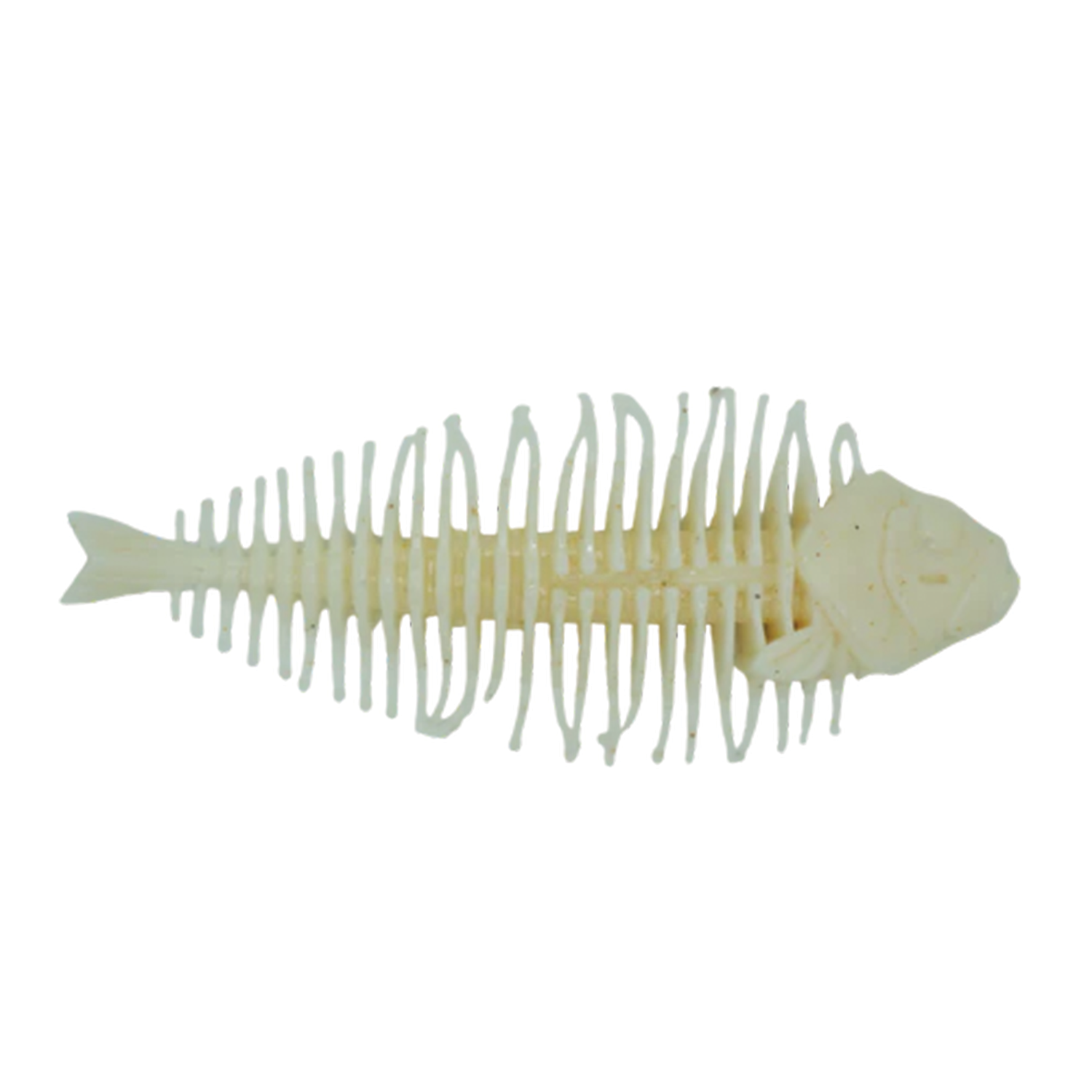 Dstyle Geelacanth