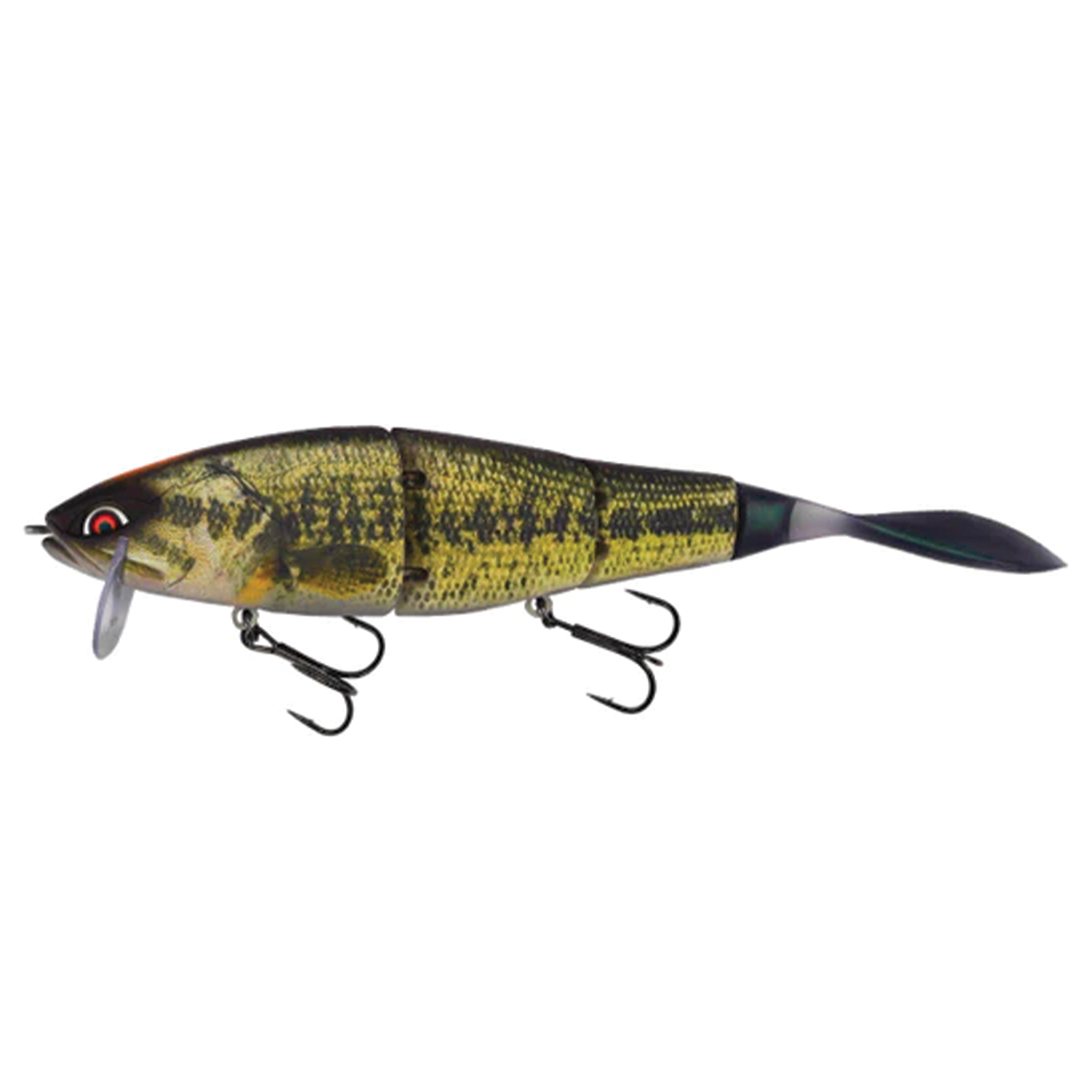 Galápagos Grace 210L