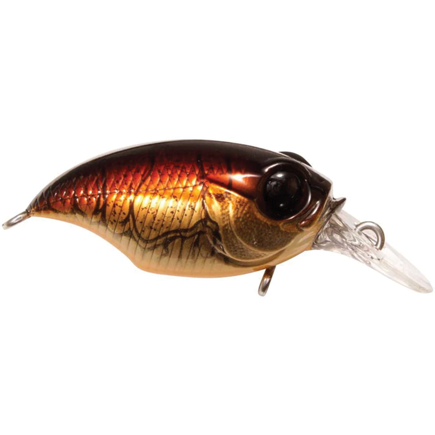 Megabass Griffon MR-X BFS fishing lure with a shiny brown and gold fish scale pattern, large black eyes, and a clear plastic diving lip designed for precise casting and fishing tackle use.