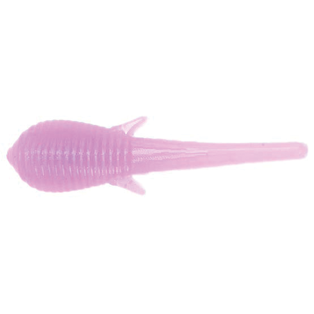Clam Niku Soldier Fly