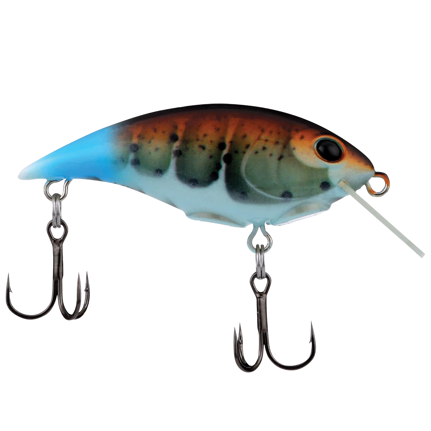 Berkley Money Badger - Shallow