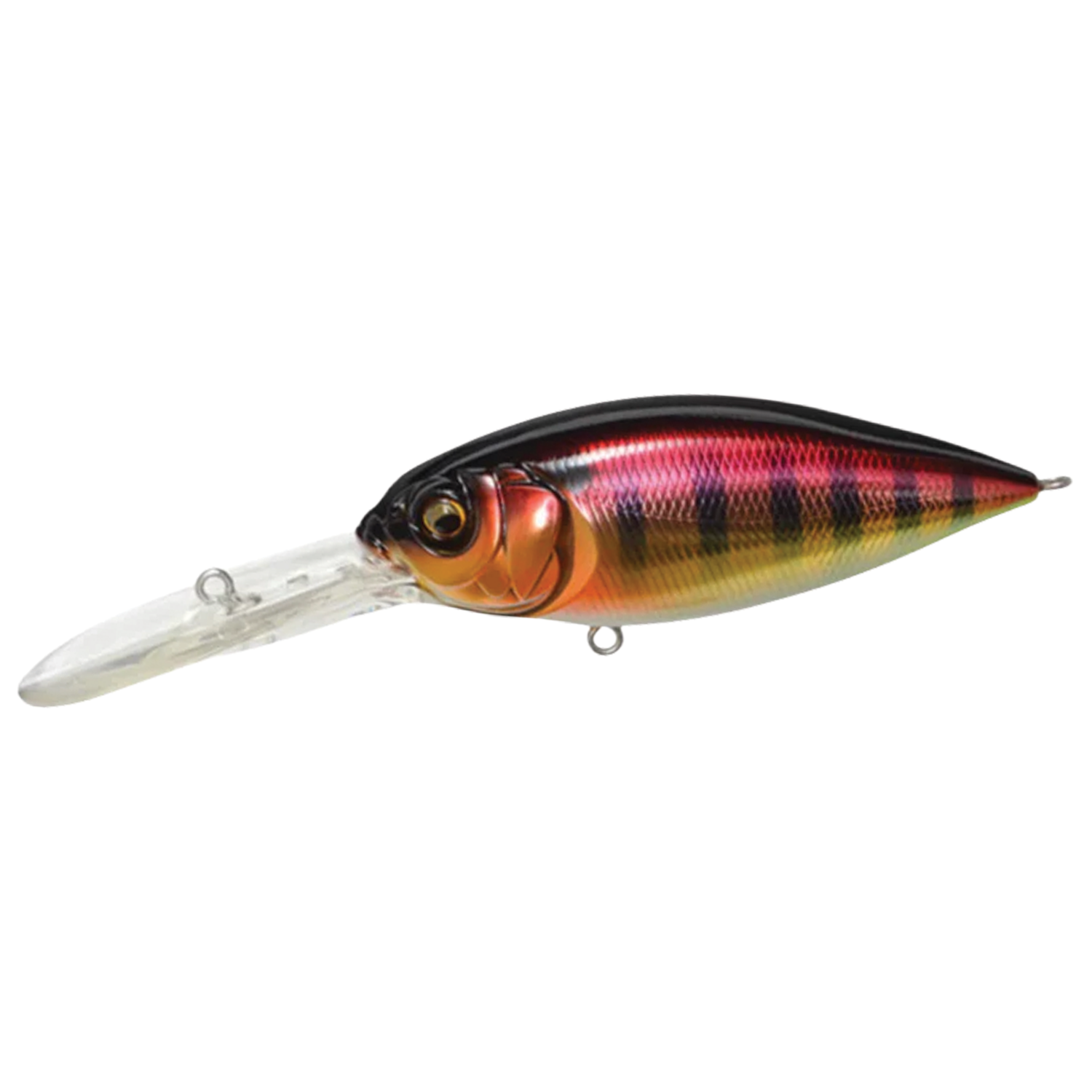Megabass Deep-X 300 fishing lure with a vibrant red, black, and gold finish, detailed fish eye design, and extended clear diving lip for deep water fishing.