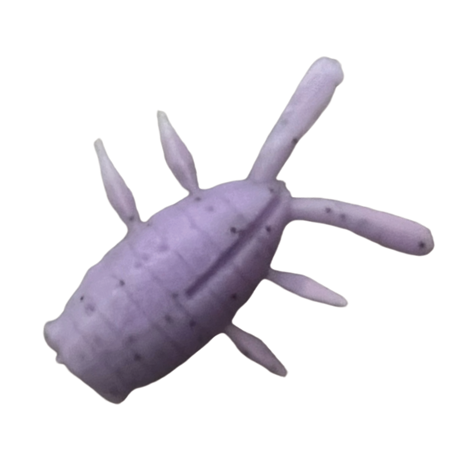 YG.Labo Witch Bug (Floating)