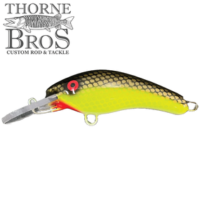 Blue Water Baits 5" K.O. Shad