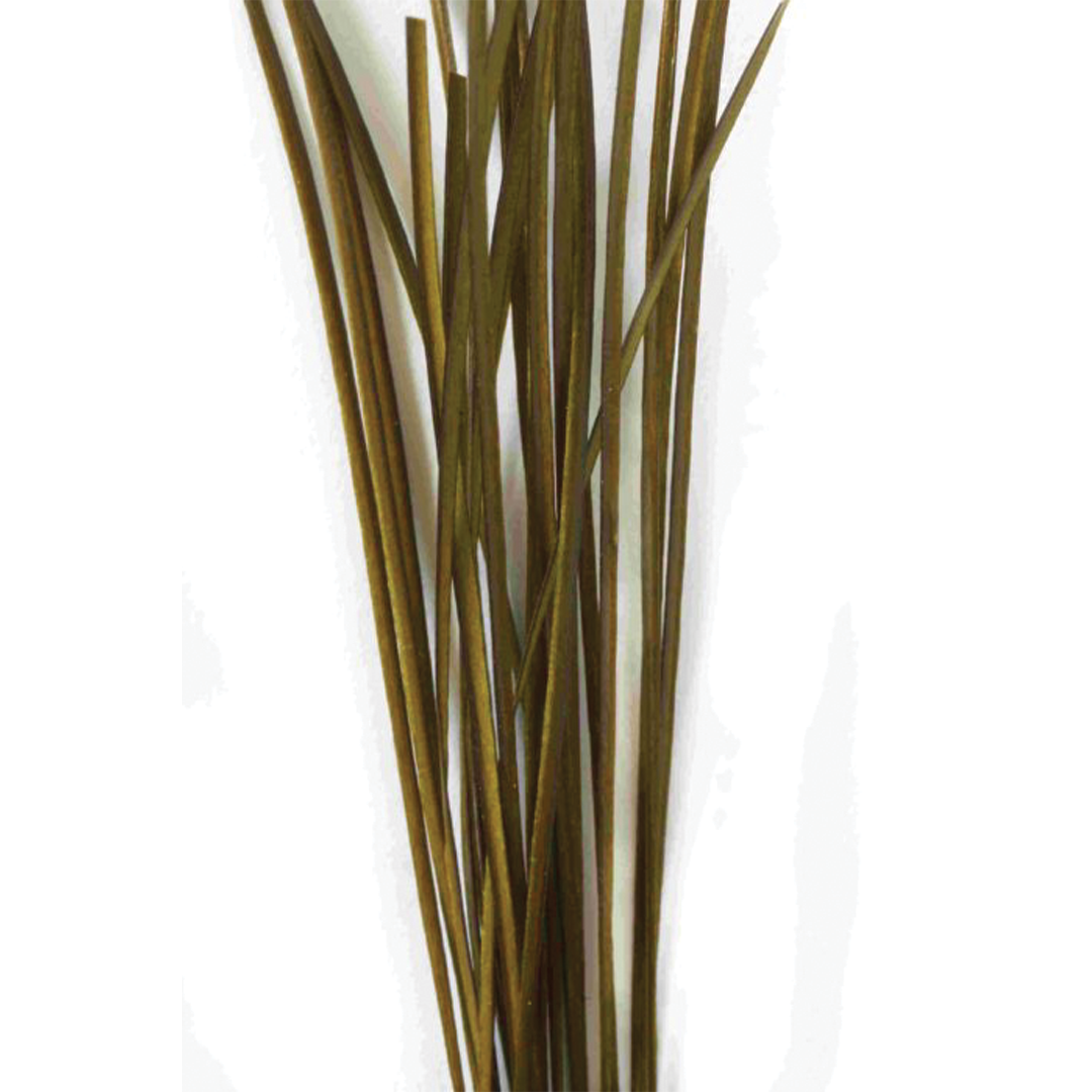 Fulling Mill Stripped Quills