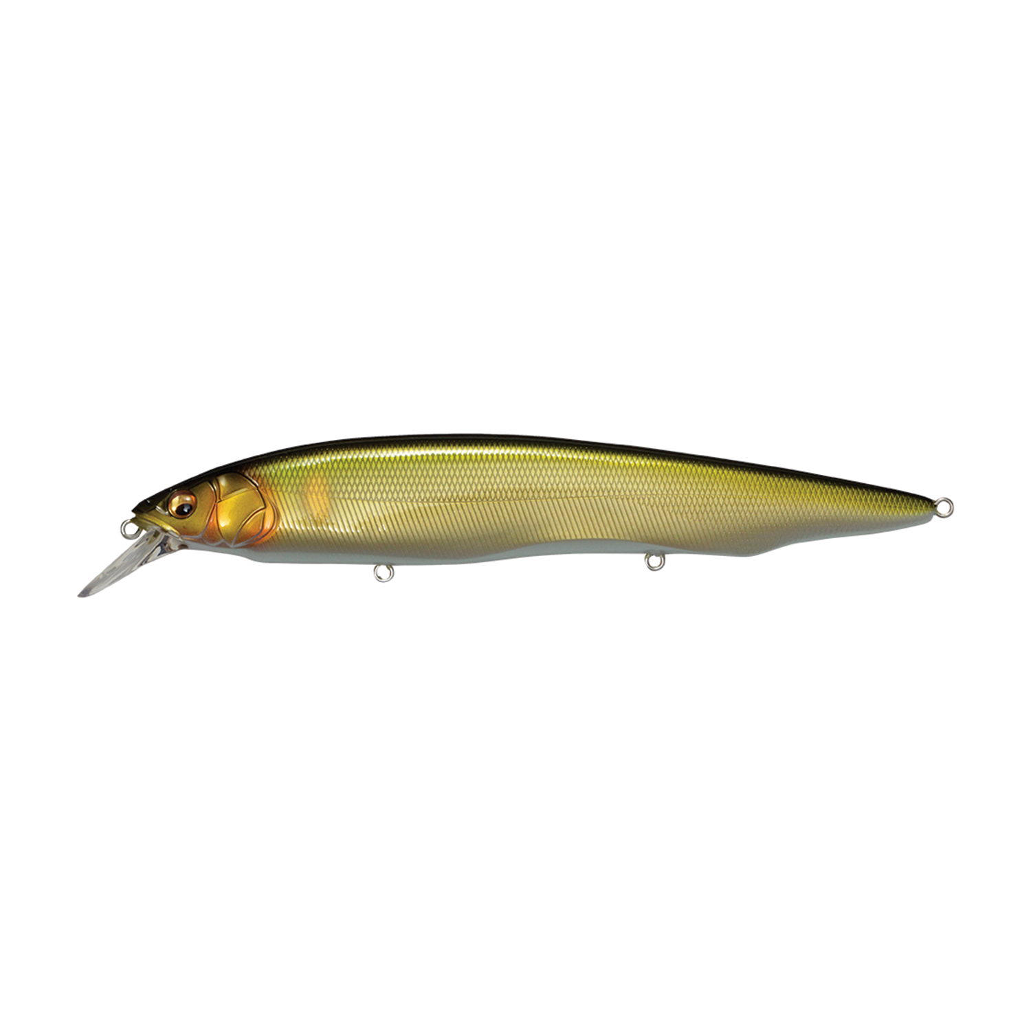 Megabass Kanata
