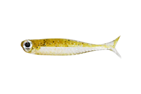 Dstyle Virola 1.5" Micro