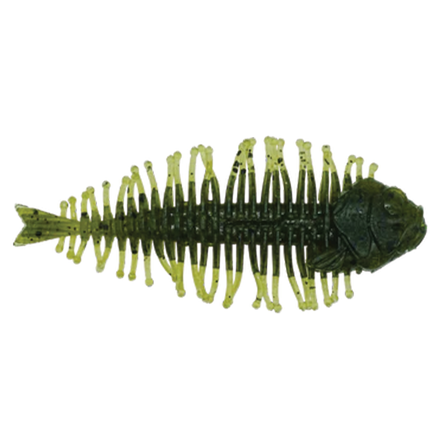 Dstyle Geelacanth