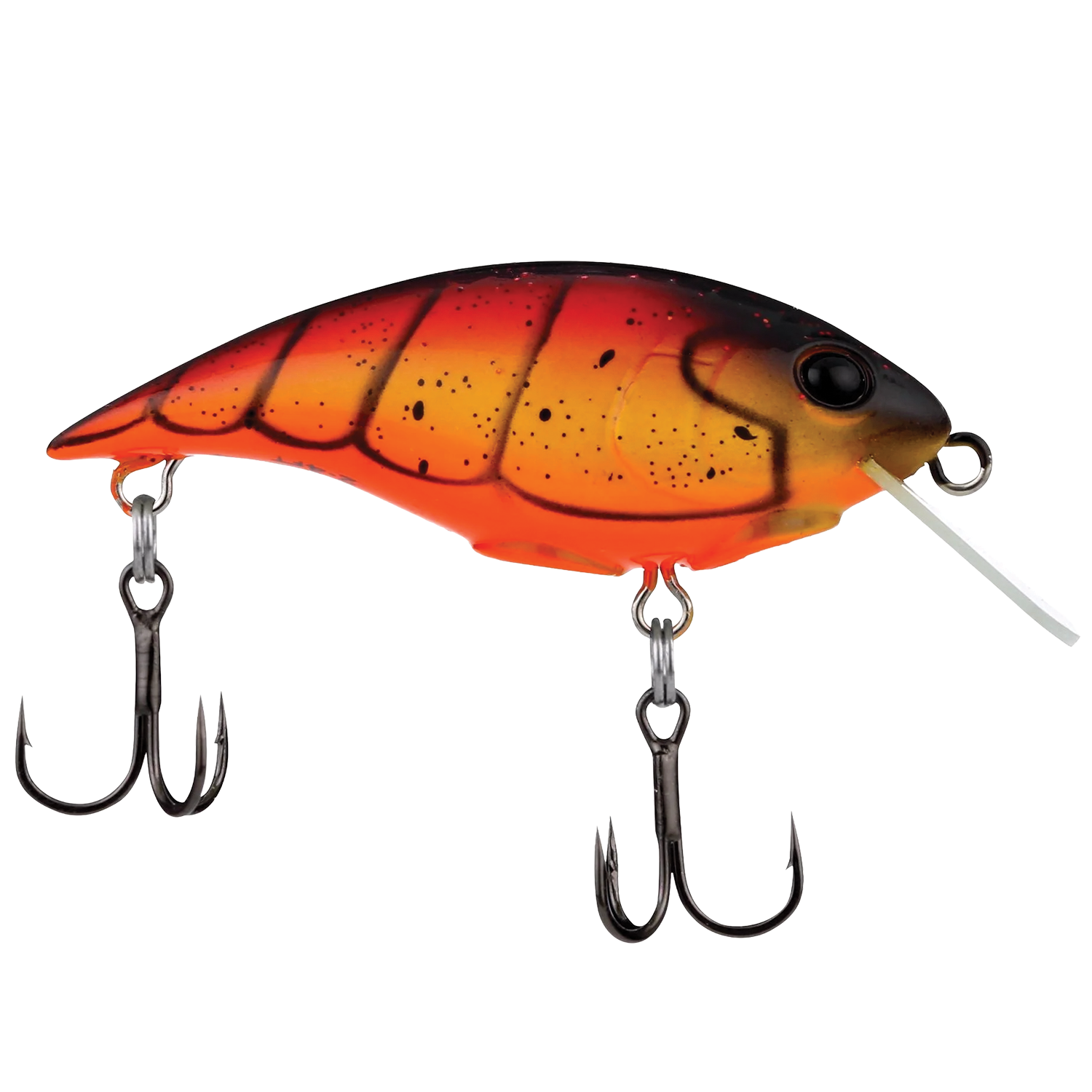 Berkley Money Badger - Shallow