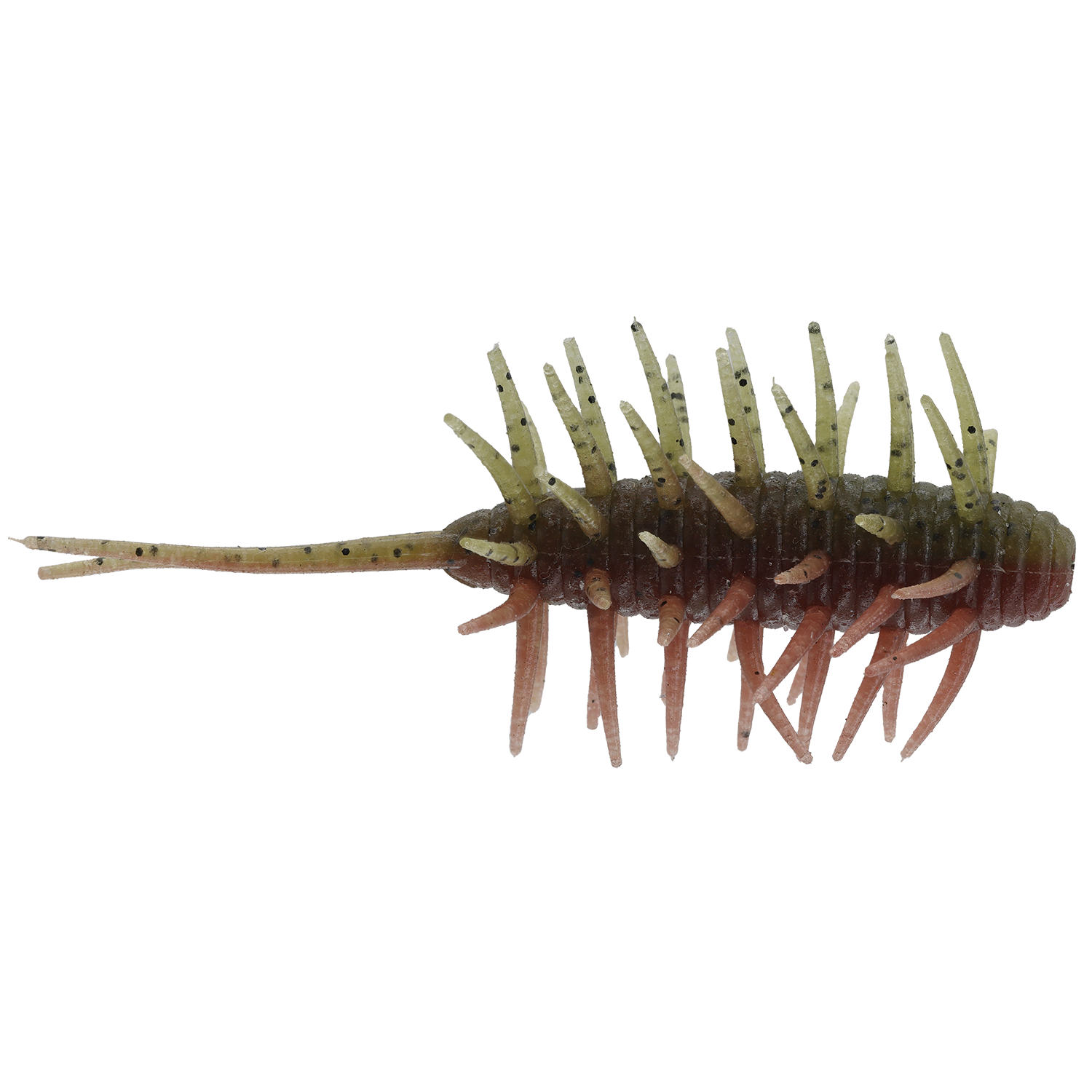 Hideup Coike Shrimp Medium