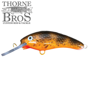 Blue Water Baits 5" K.O. Shad