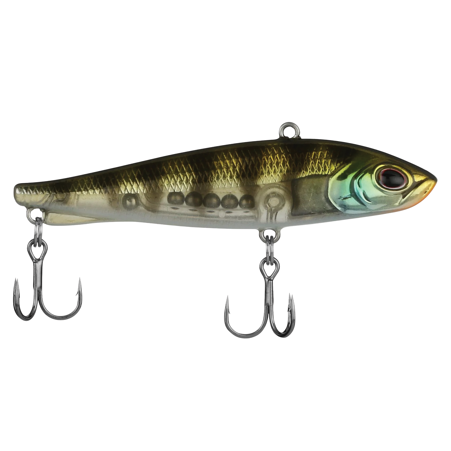 Berkley Ripfish