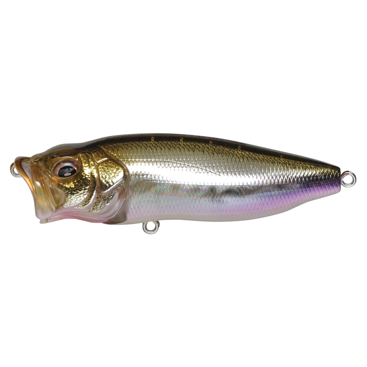 Megabass PopMax fishing lure with a detailed, reflective gold and silver finish, designed for attracting musky and other game fish in freshwater fishing tackle.