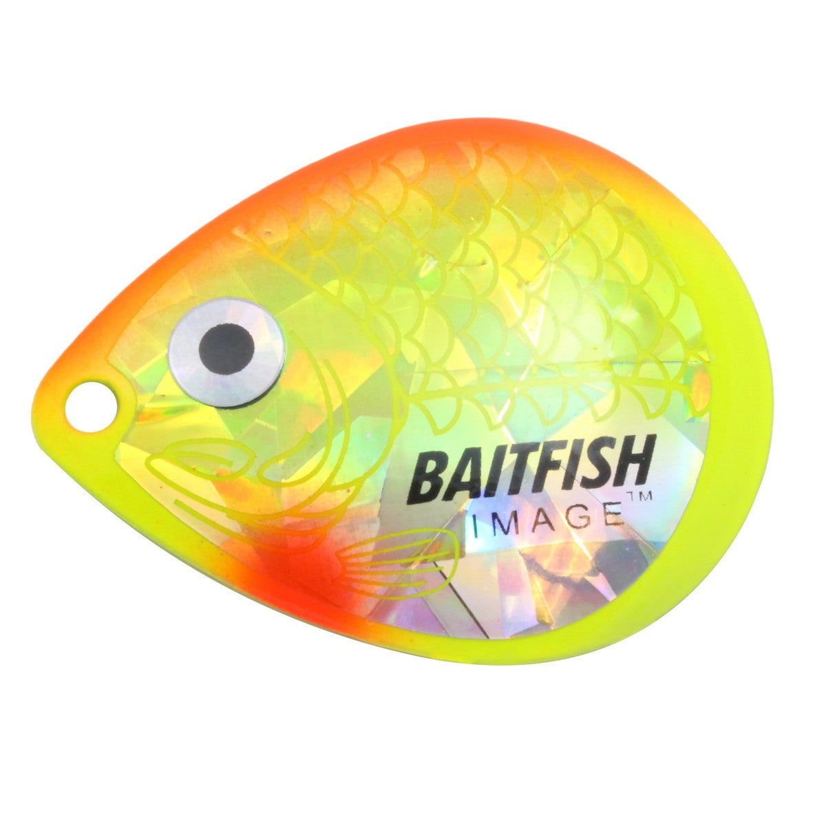 Northland Baitfish-Image Colorado Blade