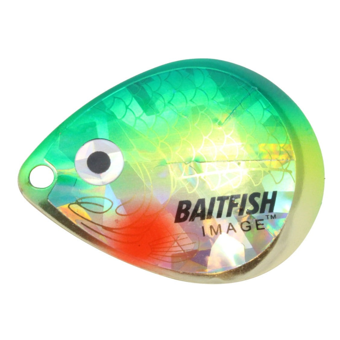 Northland Baitfish-Image Colorado Blade