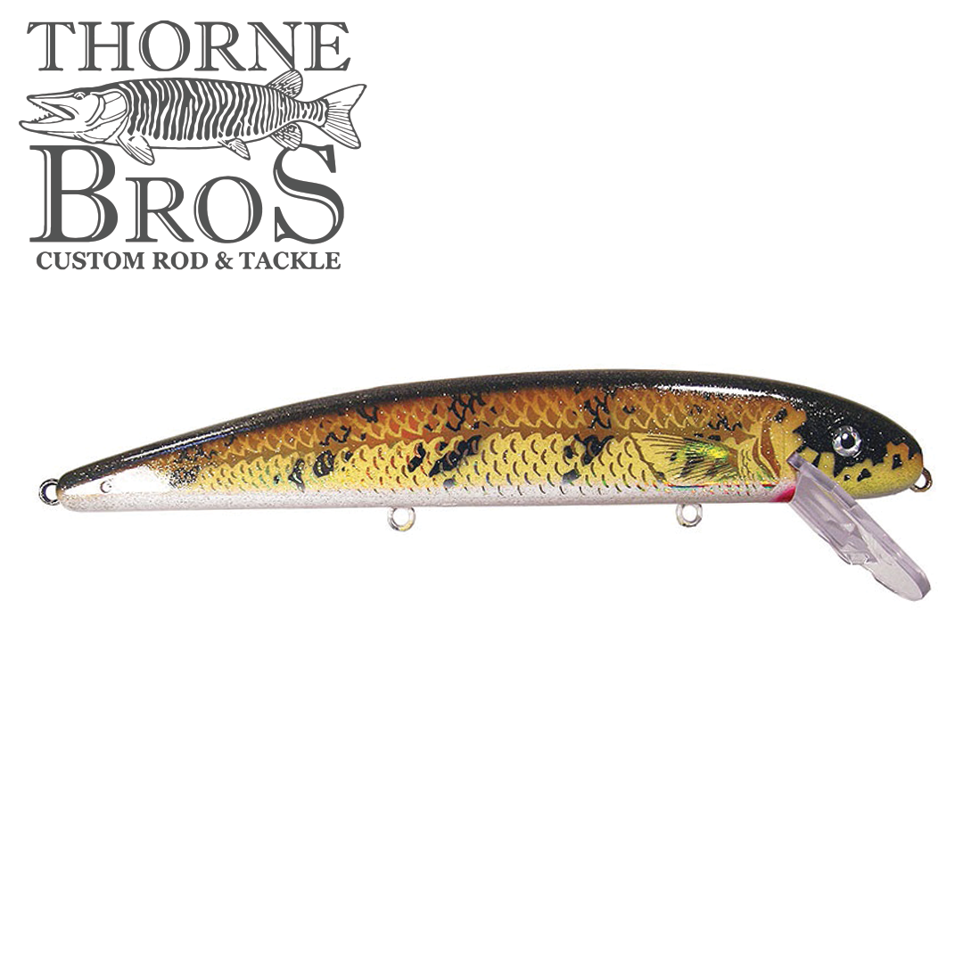 Musky Mania Jake 10"