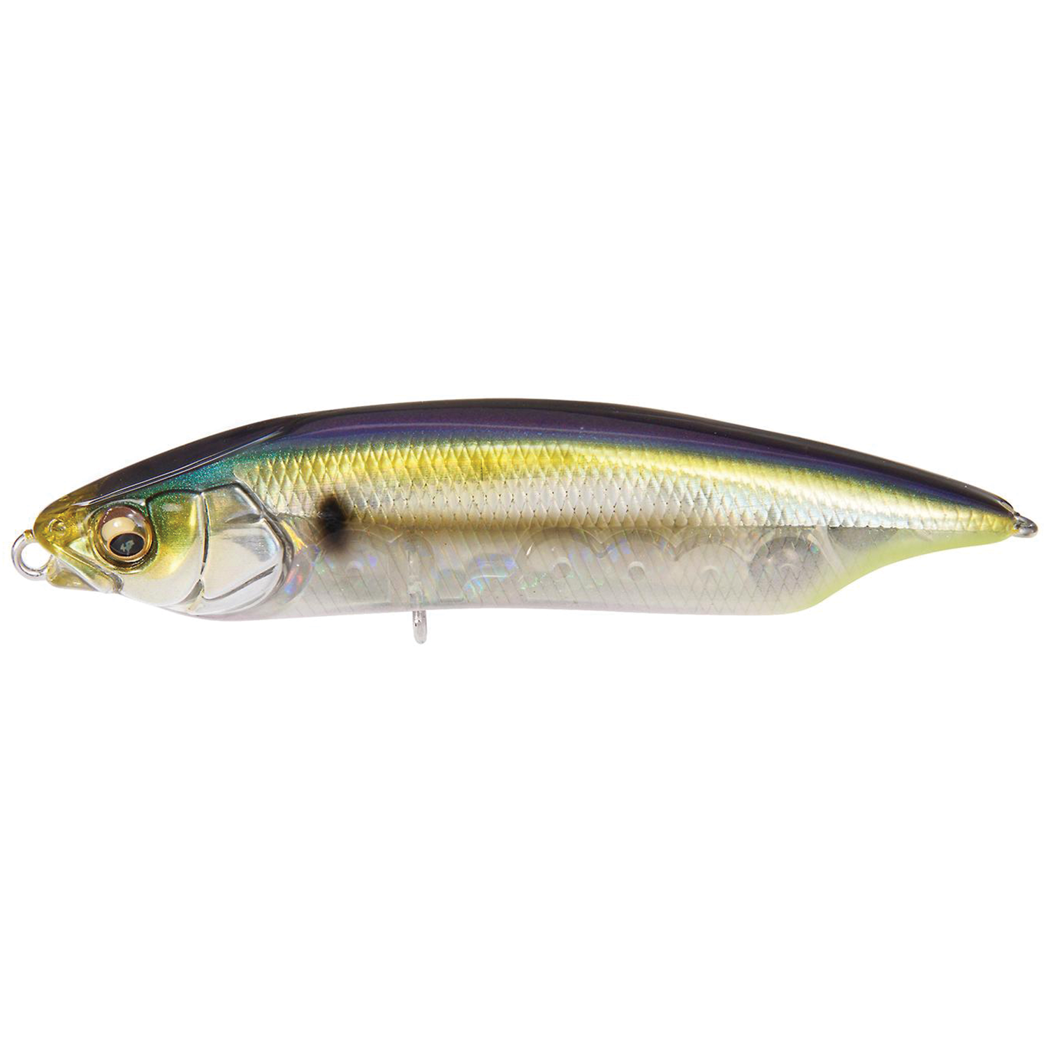 Megabass Karashi 80 fishing lure in a realistic shad pattern with shimmering gold, green, and purple hues, designed for effective fishing tackle use.
