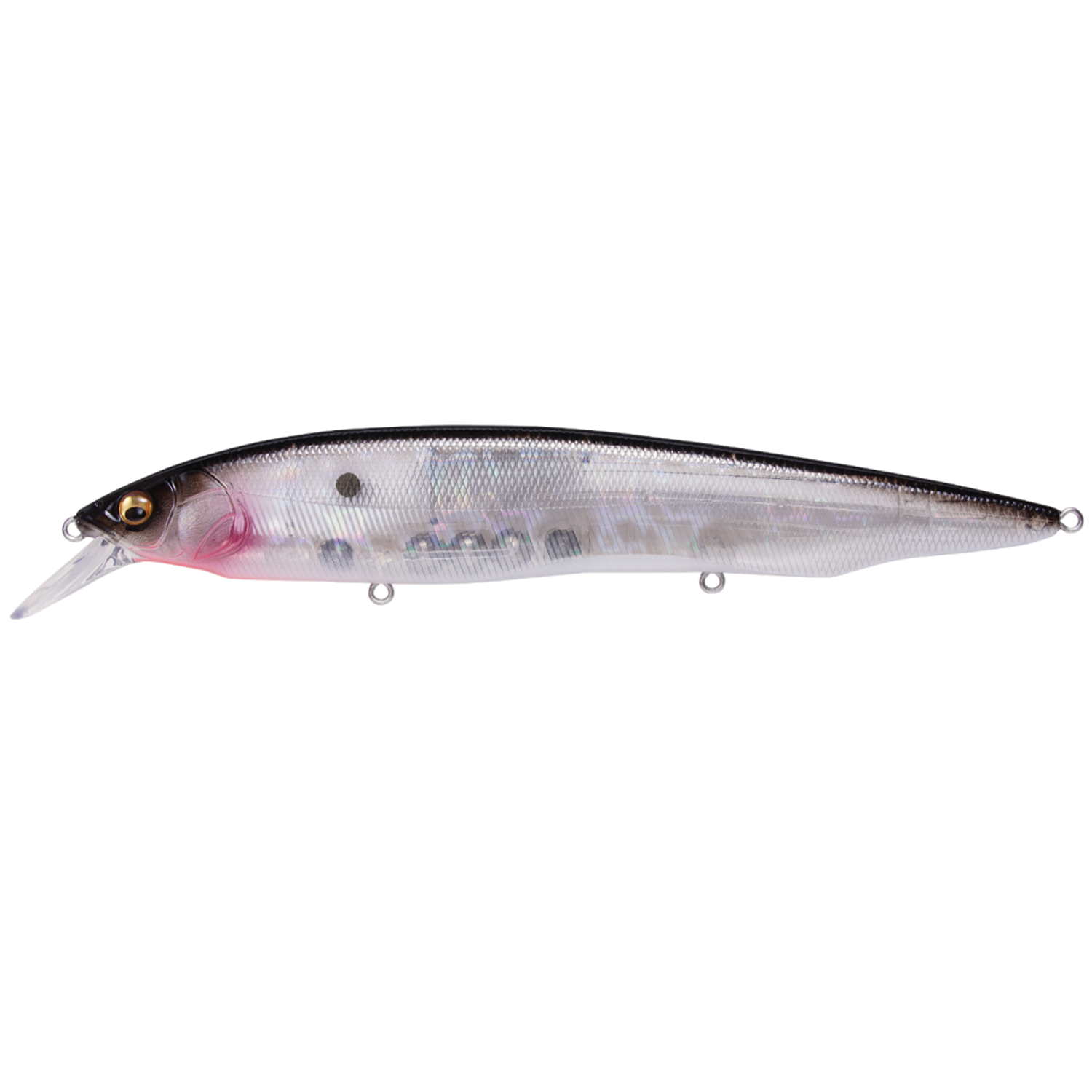 Megabass Kanata clear-bodied fishing lure with black back, realistic eye detail, and multiple attachment points, designed for precision fishing tackle.