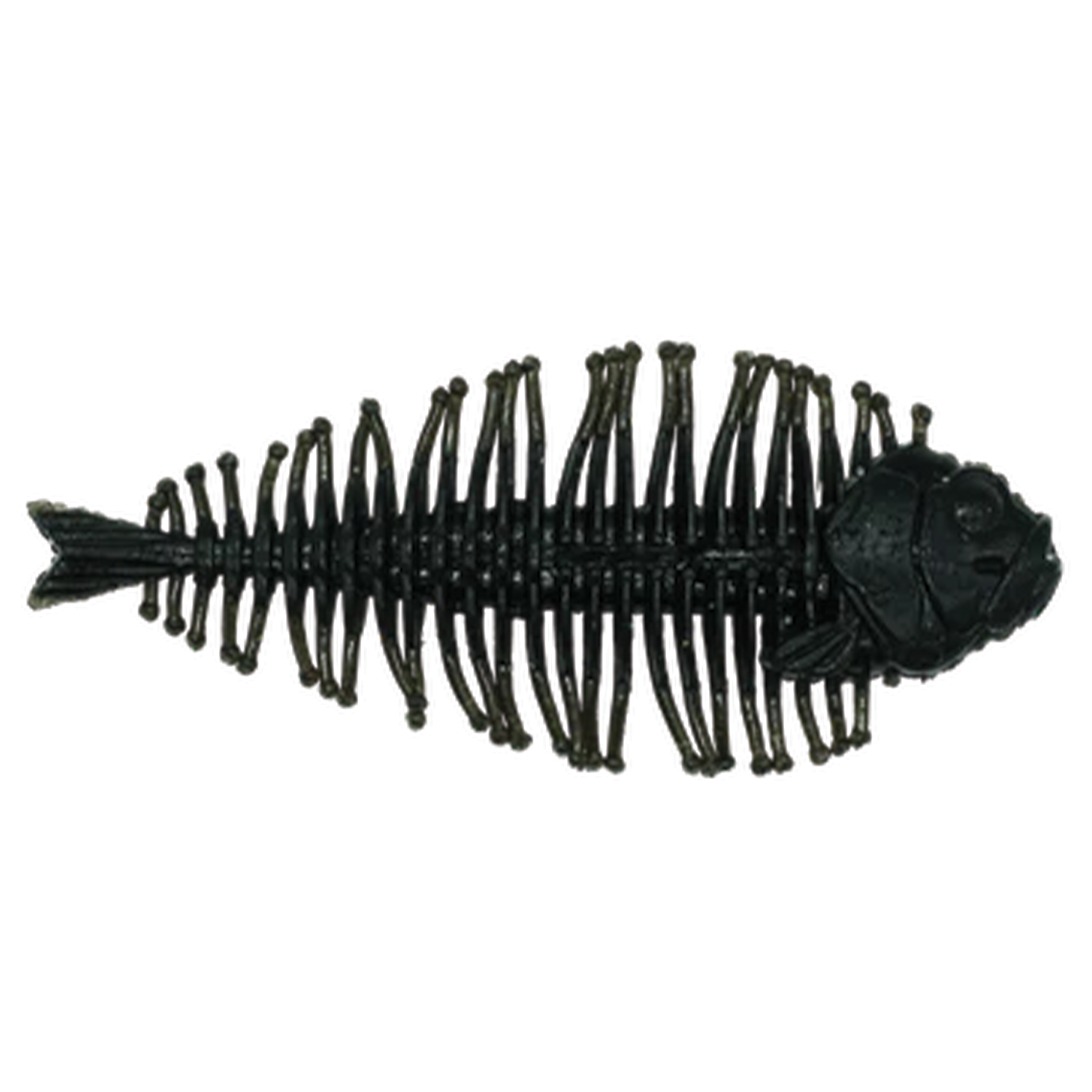 Dstyle Geelacanth