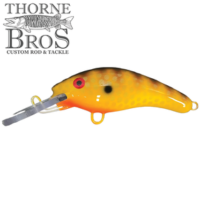 Blue Water Baits 5" K.O. Shad