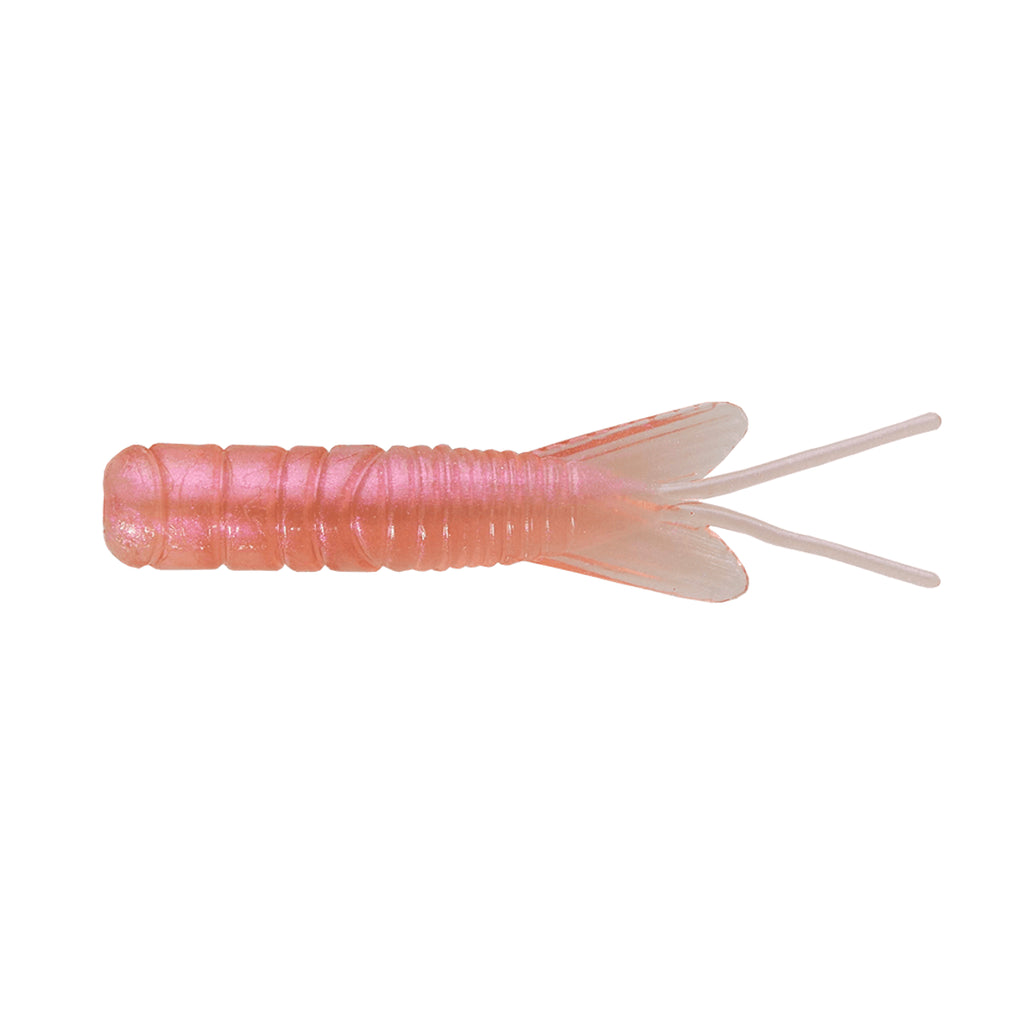 Northland Pan-Candy Larvae Bug