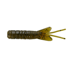 Northland Pan-Candy Larvae Bug