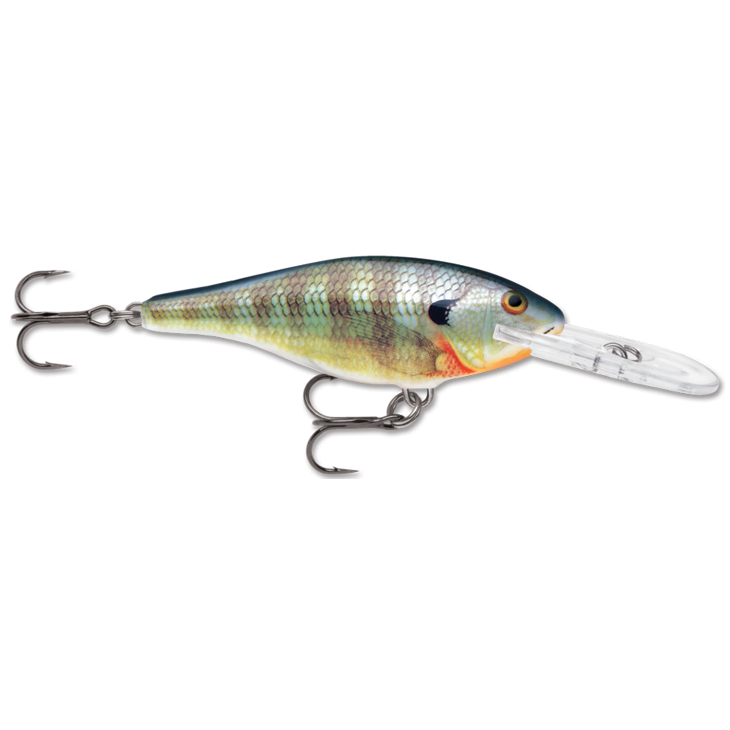 Rapala Shad Rap