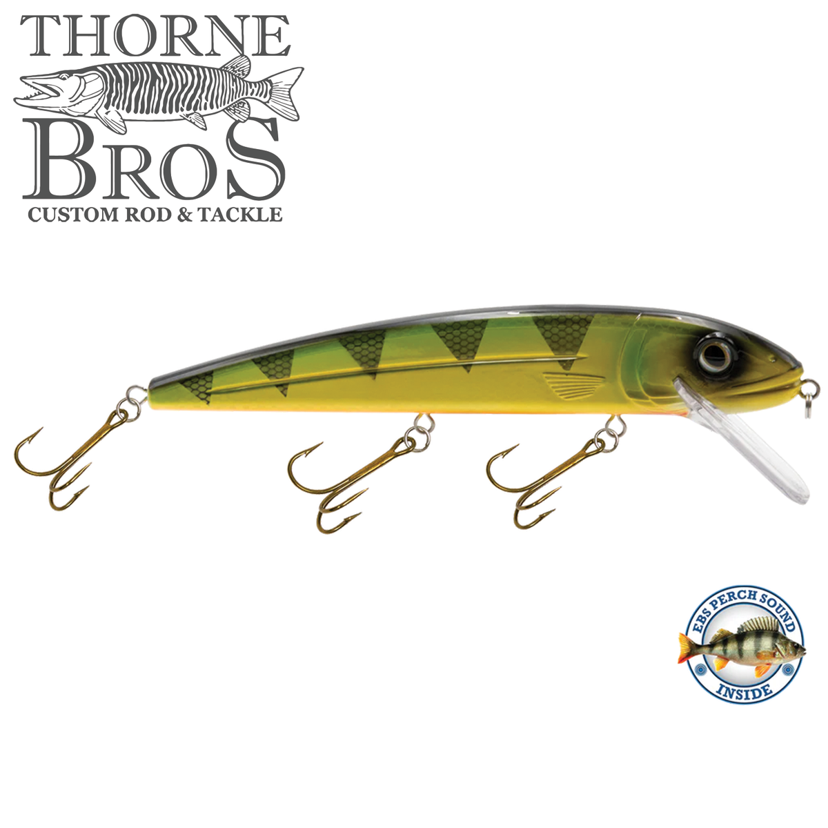elizabeth lake fishing lures Squeaky Pete Matte Tiger / Perch Sound