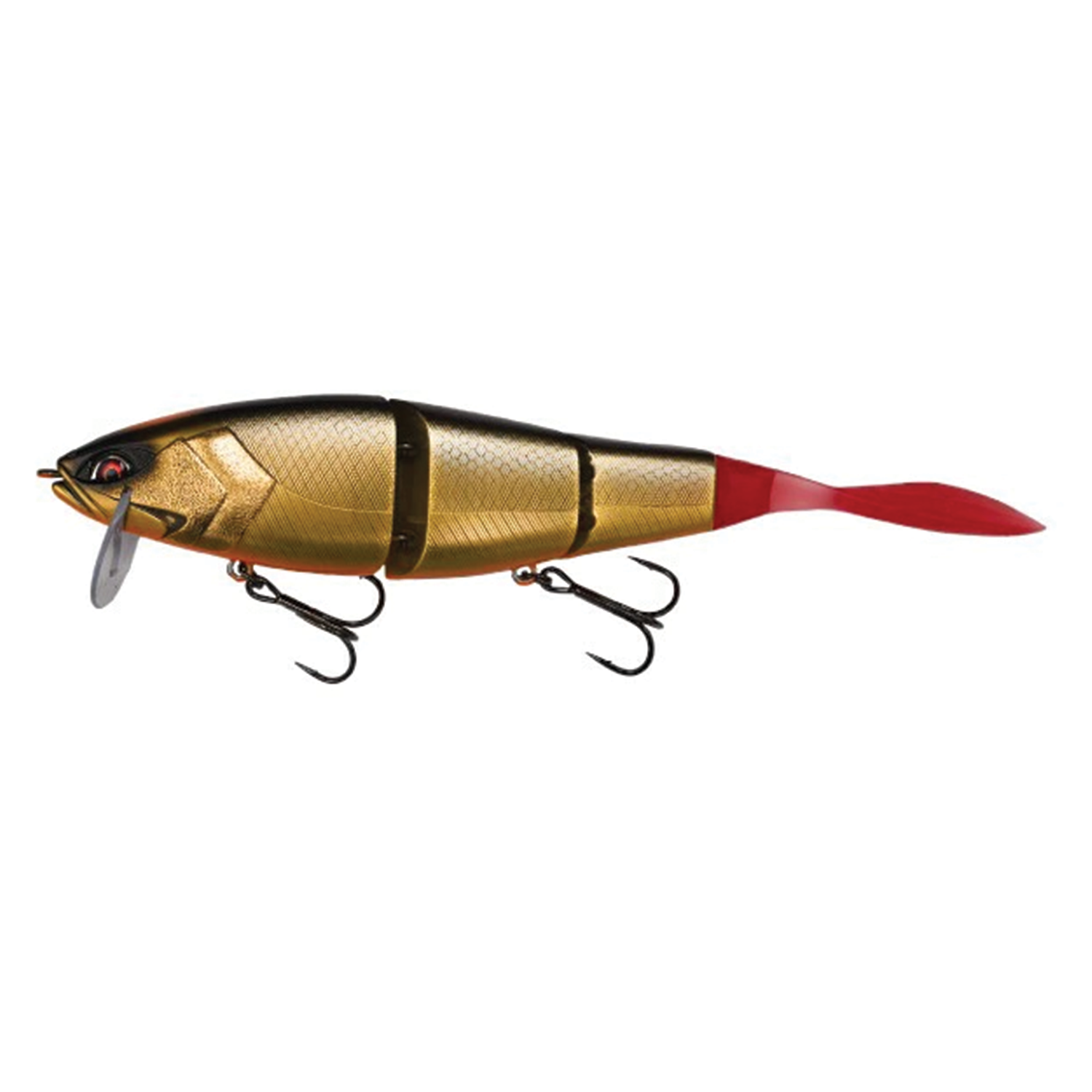 Galápagos Grace 210L