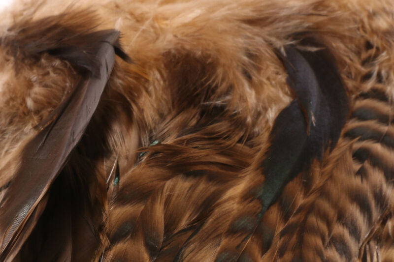 Hareline Barred Variant Schlappen