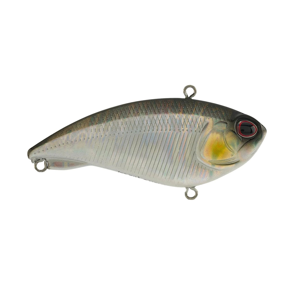 berkley fishing bells Berkley Fish Pole Dakota Angler The shape and size were chosen to be 6cm Berkley Fish Pole Bells
