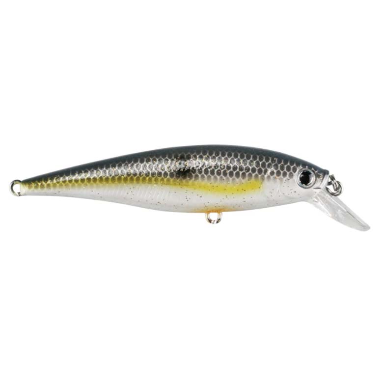 Lucky Craft Pointer 100SP Jerkbait