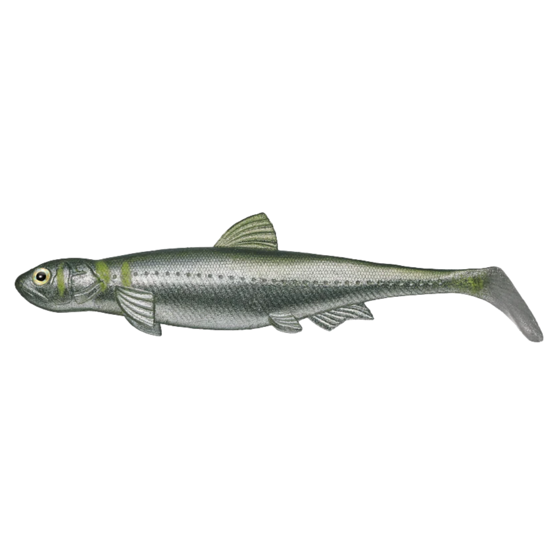 Evergreen Last Ace 140 (Line-Thru)