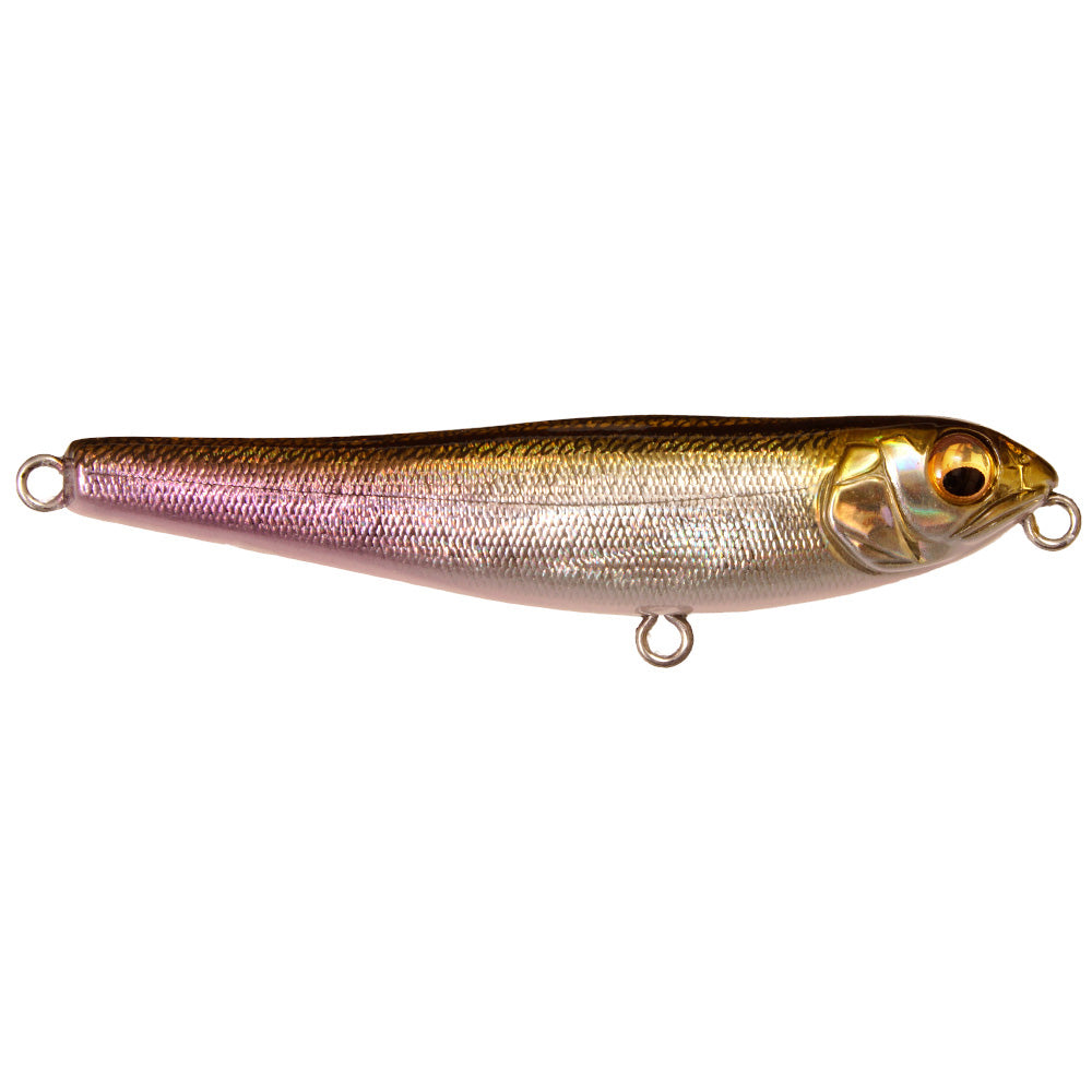 Megabass Dog-X Jr. Coayu BFS fishing lure with realistic fish design, featuring detailed scales and lifelike eyes for effective musky fishing tackle use.