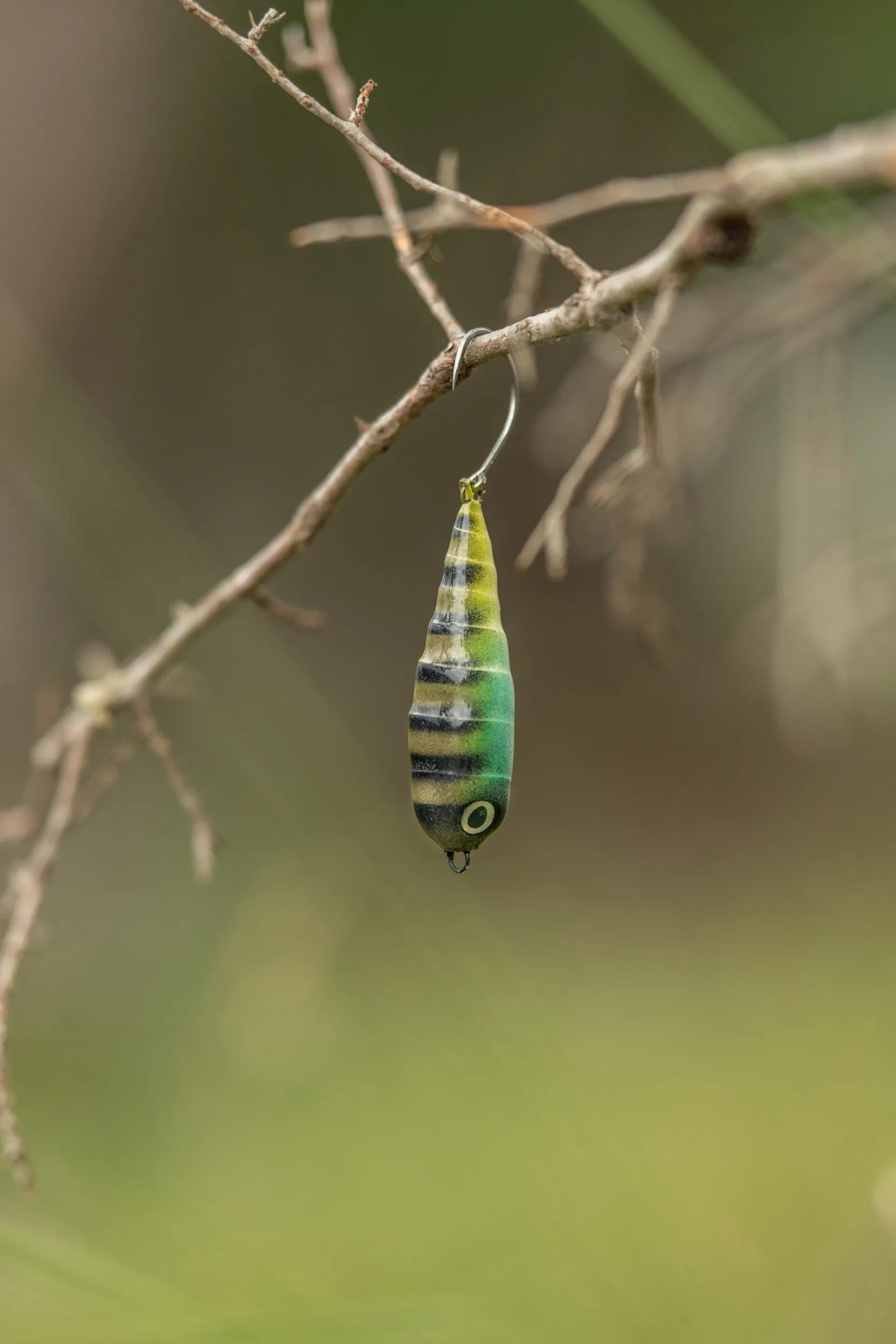 Fish Chase Flies Spiral Spook