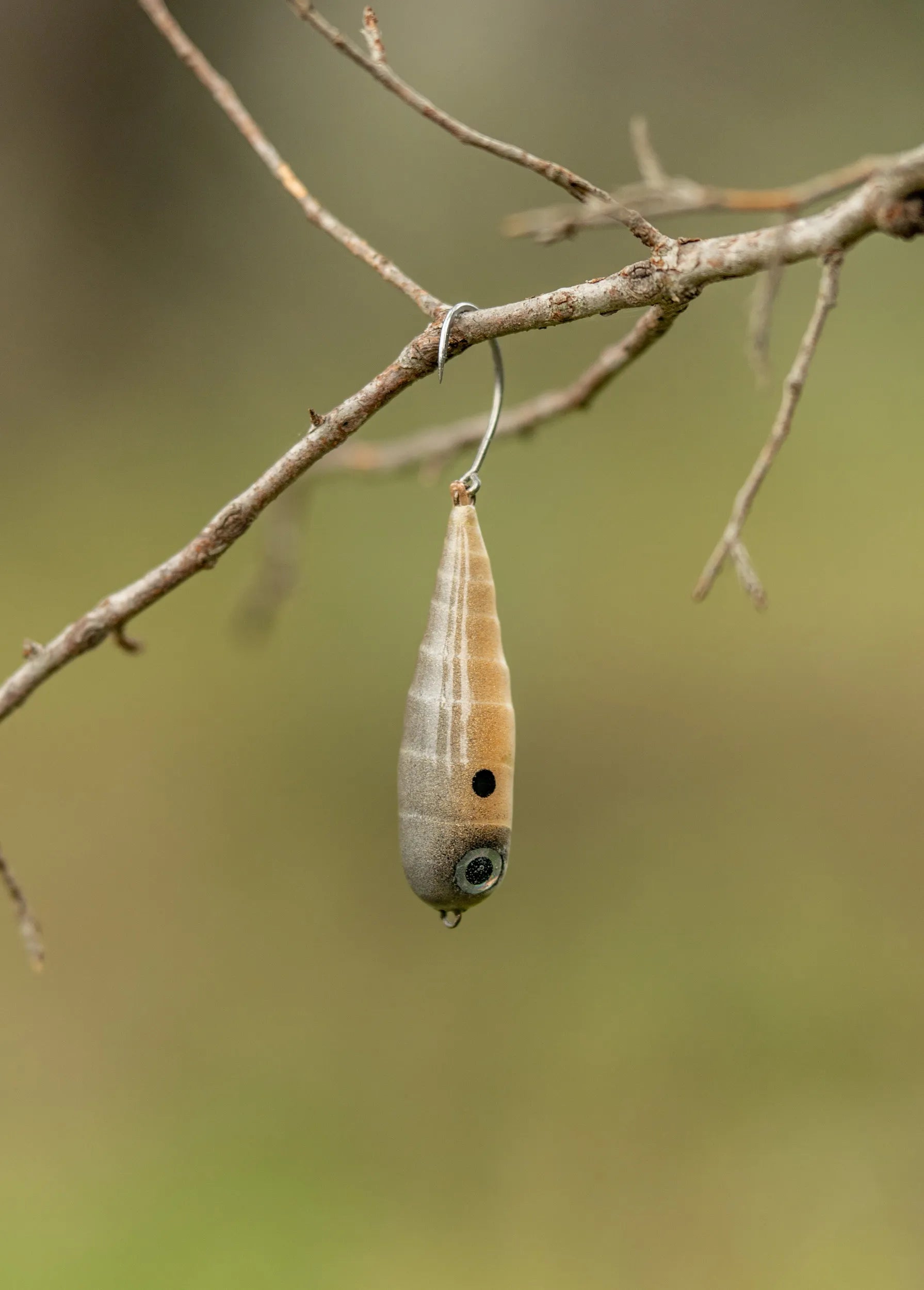 Fish Chase Flies Spiral Spook