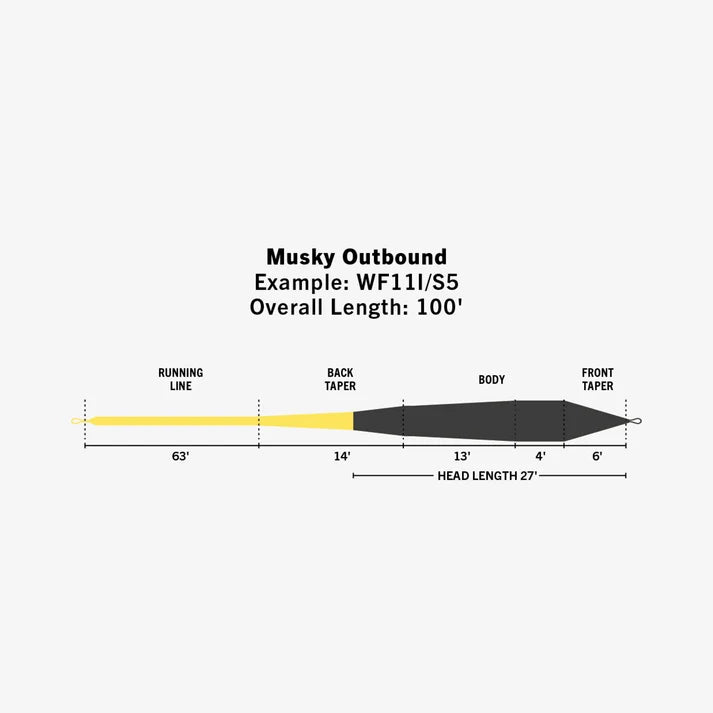 Rio Elite Musky Outbound fly line profile diagram showing running line back taper body and front taper with a 27 foot head and 100 foot overall length