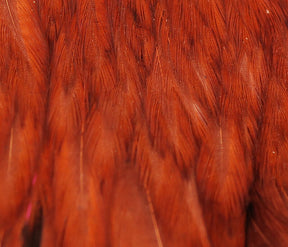 Hareline Hen Cape