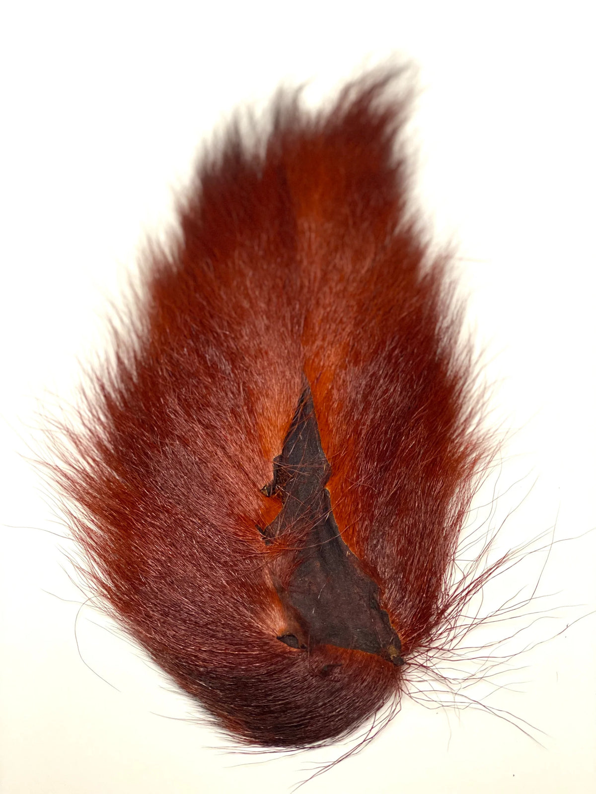Marabou Brothers El Presidente Grade Buck Tail fishing lure with dense rust brown marabou fibers and a dark weighted head for musky tackle