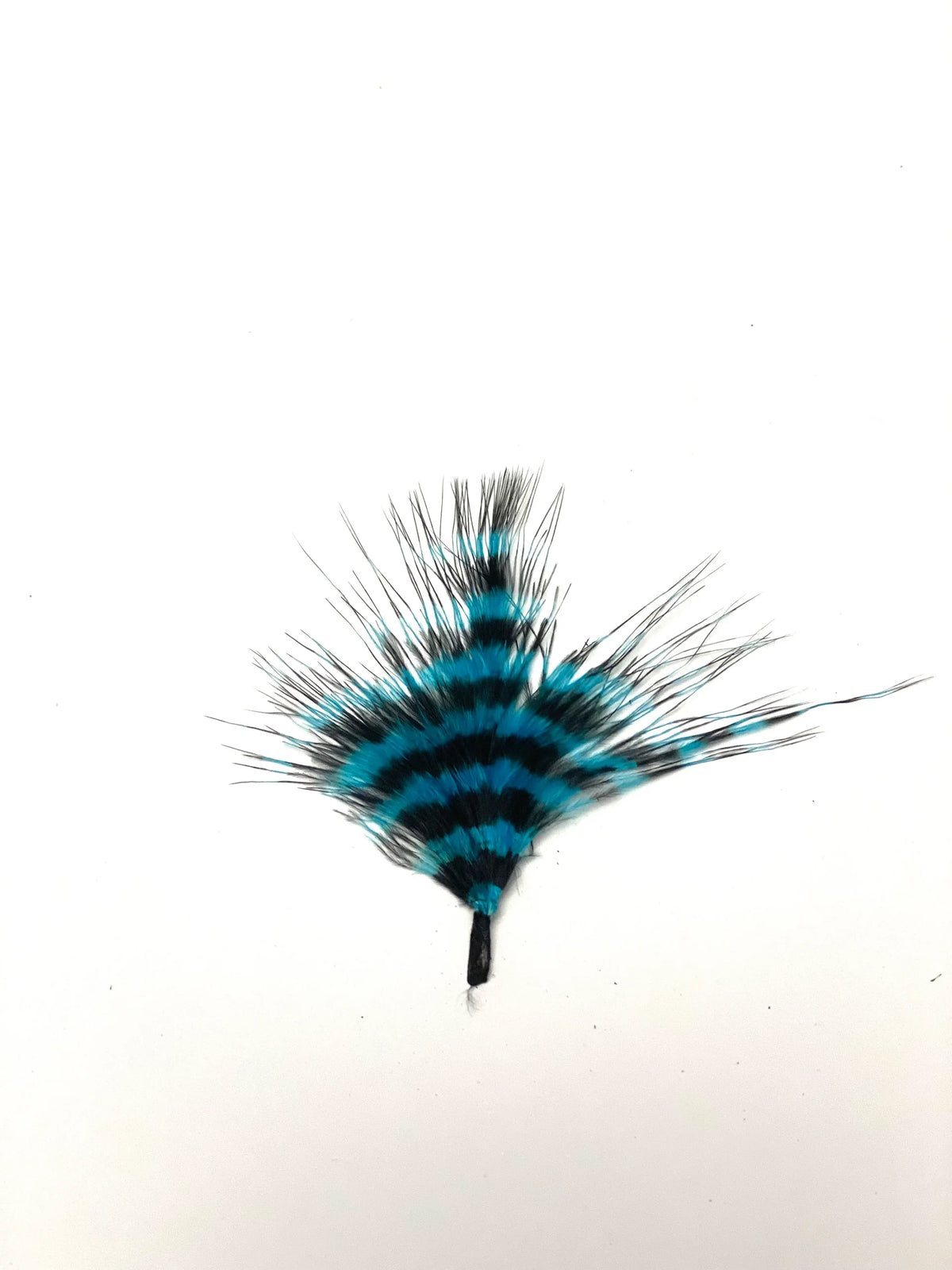 Marabou Brothers Barred Marabou Large blue and black barred marabou fly fishing lure with soft flowing feathers for musky fishing tackle