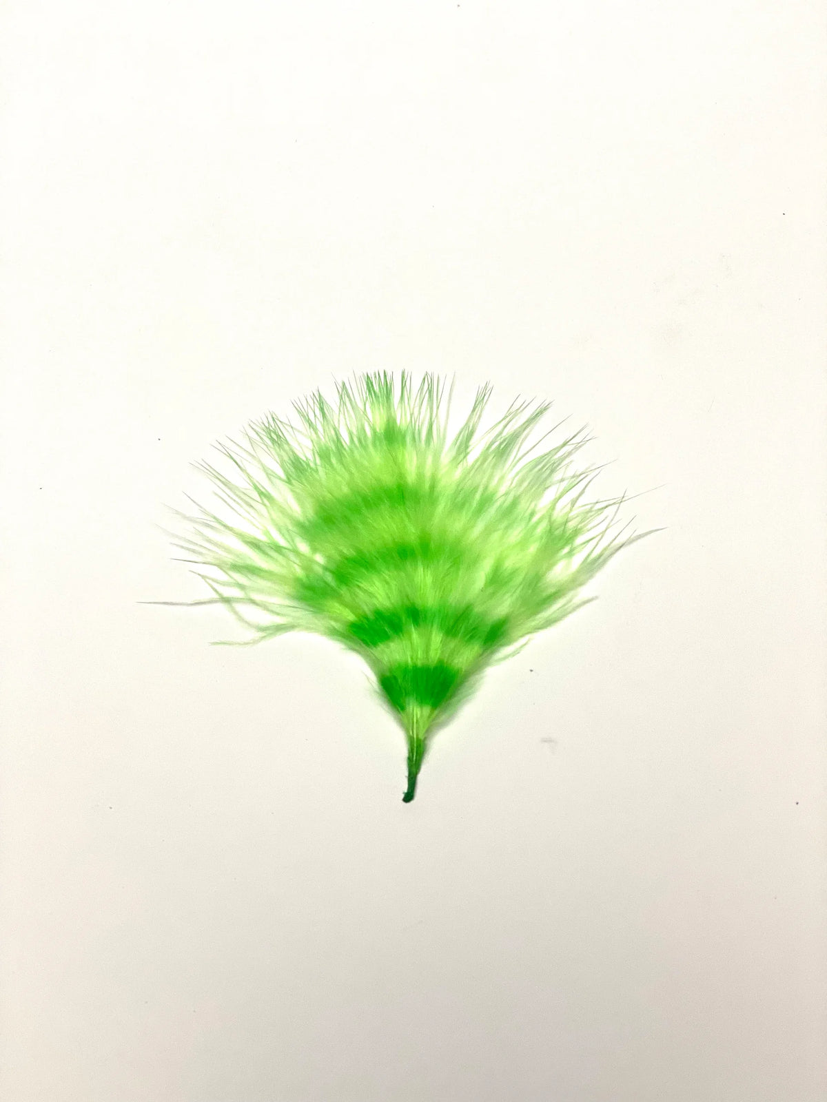 Marabou Brothers Barred Marabou Large bright green barred marabou fishing lure with soft feather fibers for musky fishing tackle on a white background