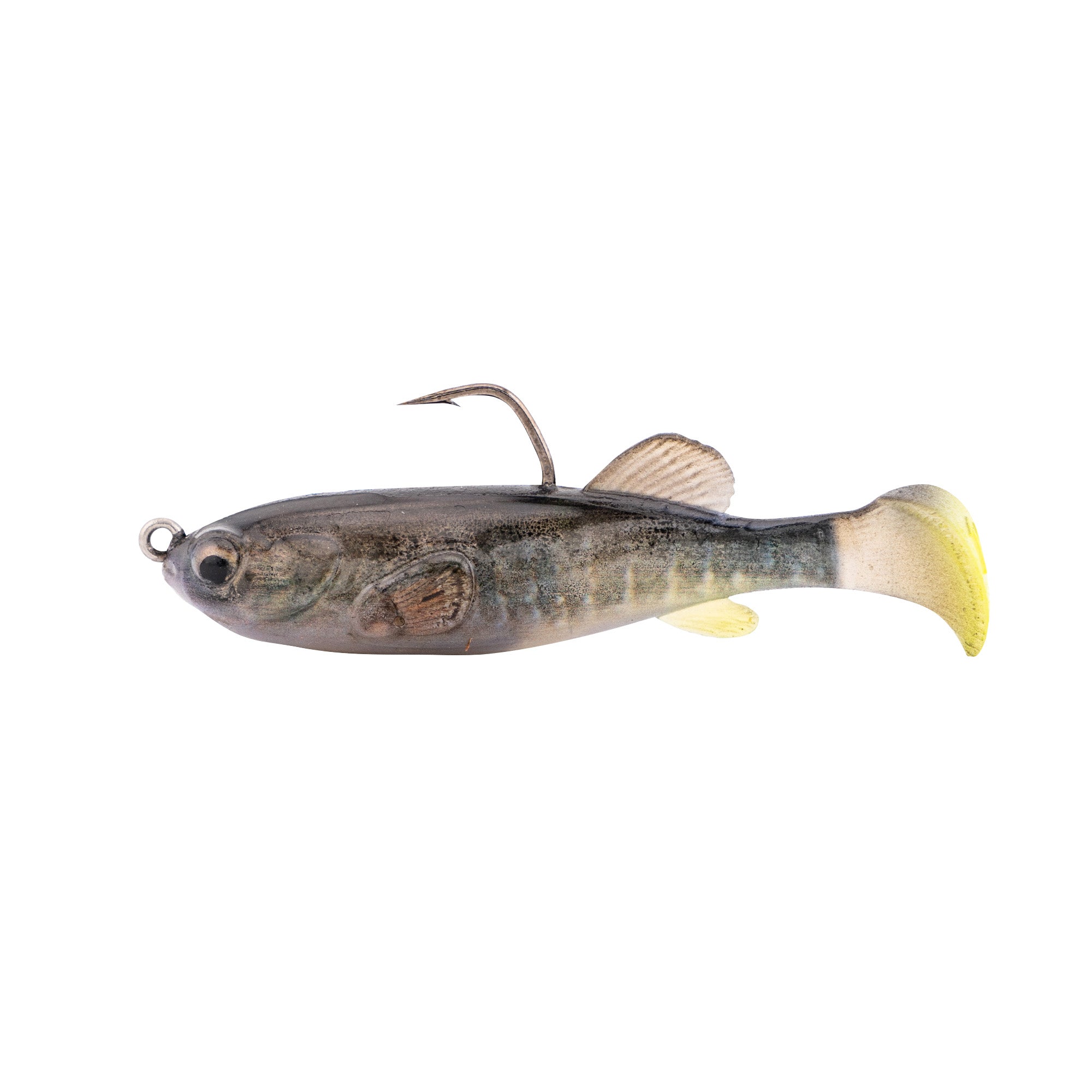 Z-Man Mudstudz soft fishing lure designed to imitate a small fish, featuring a lifelike body with translucent tail and an embedded hook for musky and other fishing tackle.
