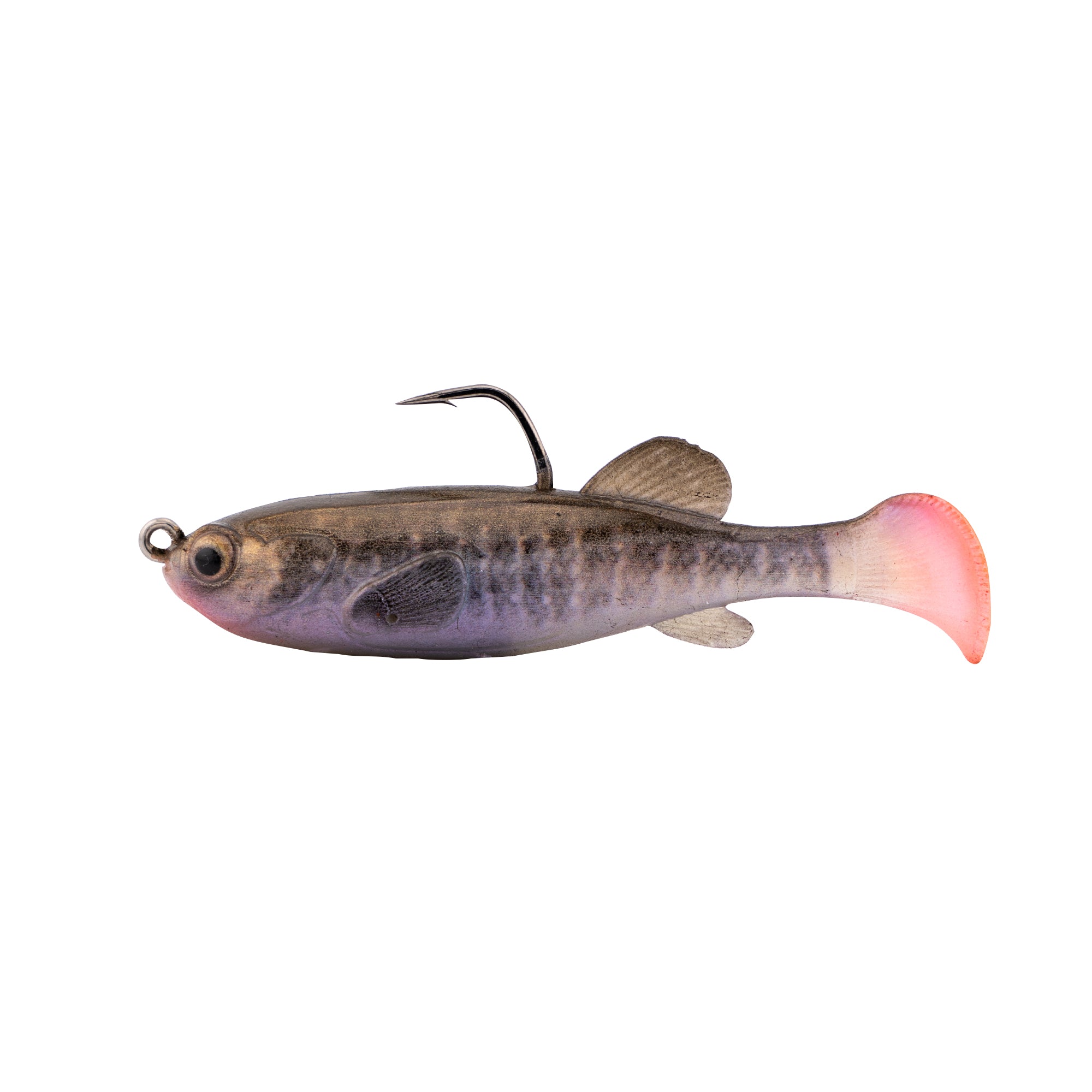 Z-Man Mudstudz soft fishing lure with realistic fish design, featuring a lifelike body and a curved hook for effective fishing tackle use.